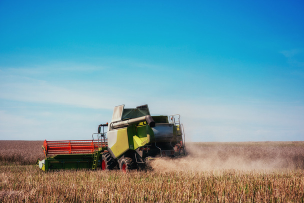 小麦の分野での作業収穫 - 写真・画像