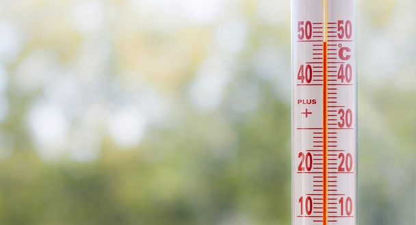 Lämpömittari misuring 50 astetta lämpöä
 - Valokuva, kuva