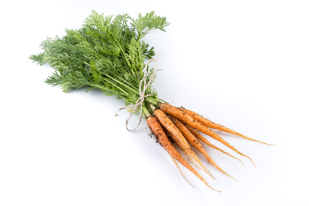 freshly picked carrots - Фото, зображення