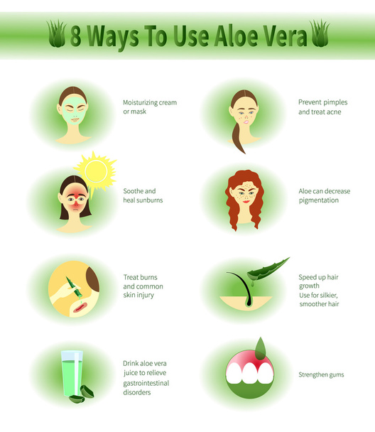 Aloe Vera infographic. Použití Aloe. - Vektor, obrázek