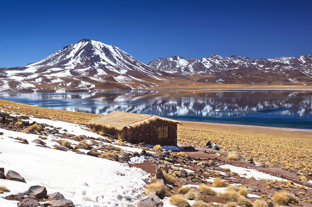 Laguna di Miscanti, deserto di Atacama, Cile
 - Foto, immagini