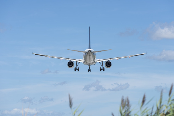 Samolot podczas lądowania - Zdjęcie, obraz