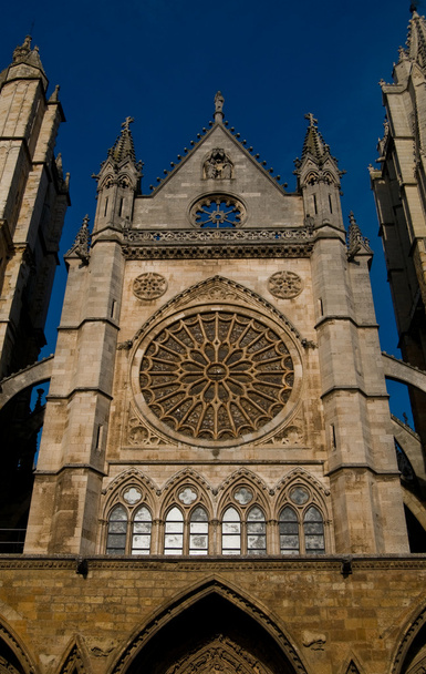 スペインでレオンの大聖堂 - 写真・画像