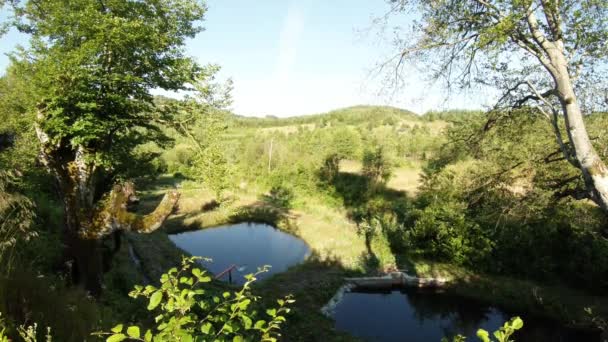 étangs de truites de montagne en Europe, arbres et collines verdoyantes
 - Séquence, vidéo
