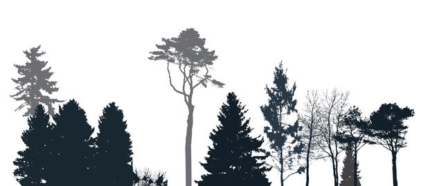 Image of Nature. Tree Silhouette. Eco banner. Vector Illustration. - Vector, Image