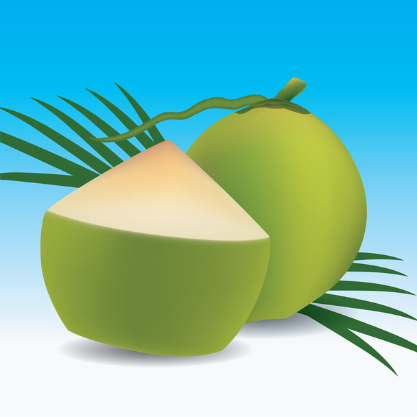 Young green coconut, Vector illustration, Eps 10 - Vector, Image