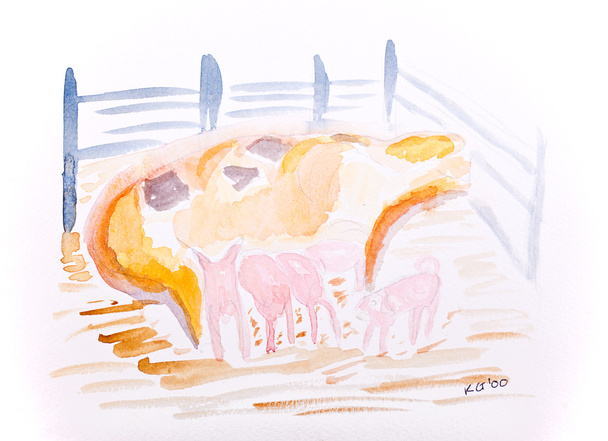 Свинья с поросячьей водой цвета Кей Гейл
 - Фото, изображение
