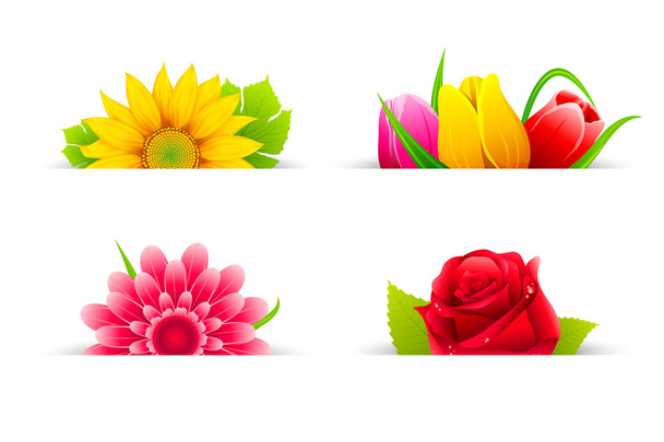 Flor colorida
 - Vector, imagen