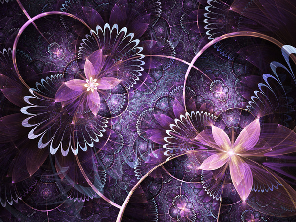 Фіолетові фрактальні квіти, цифрові твори мистецтва для творчого графічного дизайну
 - Фото, зображення