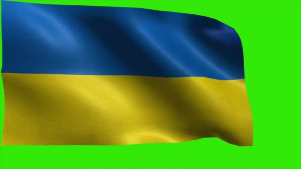 Flaga Ukrainy, ukraiński flaga - pętla - Materiał filmowy, wideo