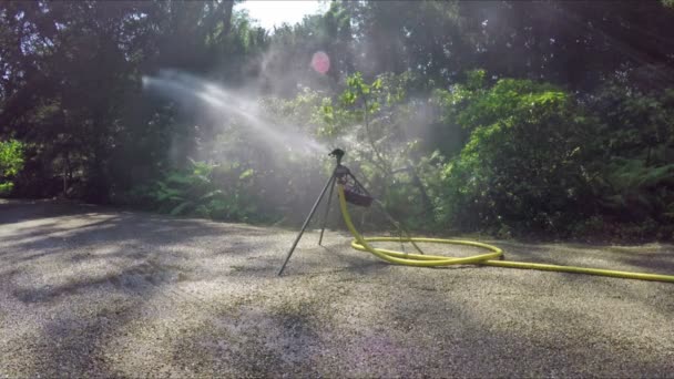 irrigatie sprinkler - Video