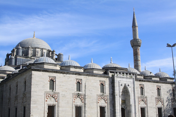 Moschea Beyazid a Istanbul, Turchia
 - Foto, immagini