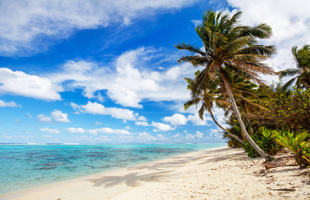 Kaunis trooppinen ranta eksoottisella saarella Etelä-Tyynellämerellä
 - Valokuva, kuva