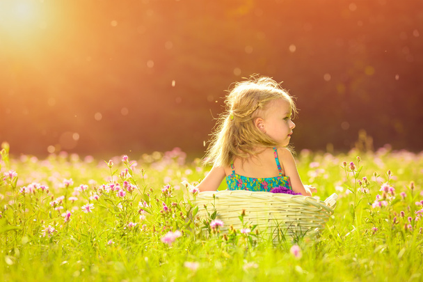 Αξιολάτρευτο μικρό ξανθιά κοπέλα διασκεδάζοντας παίζουν σε εξωτερικούς χώρους κατά τη διάρκεια της ηλιόλουστο καλοκαίρι απόγευμα - Φωτογραφία, εικόνα