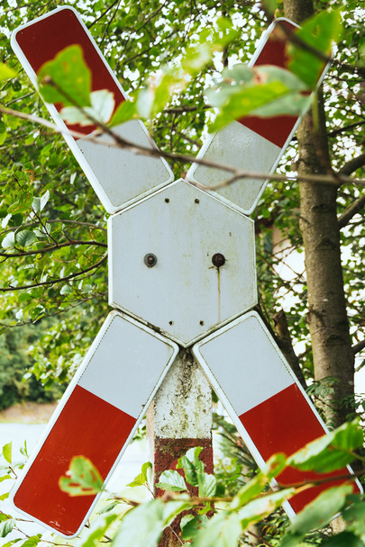 Cruz de San Andrés en la naturaleza
 - Foto, imagen