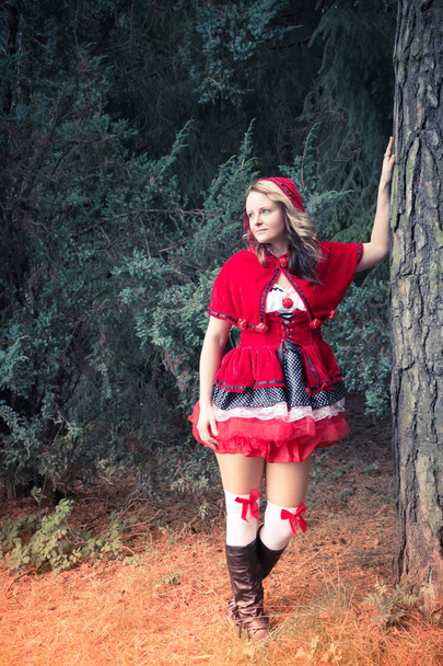 attractive Red Riding Hood in the forest - Photo, Image
