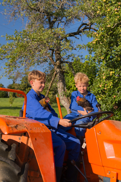 Farm Boys on tractor - Valokuva, kuva