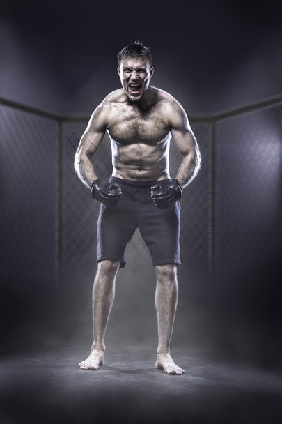 MMA fighter in cage - Photo, image