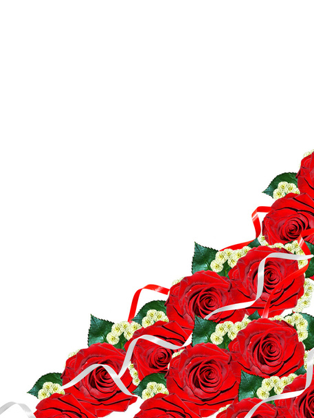 Kartka świąteczna. Czerwone róże na białym tle - Zdjęcie, obraz