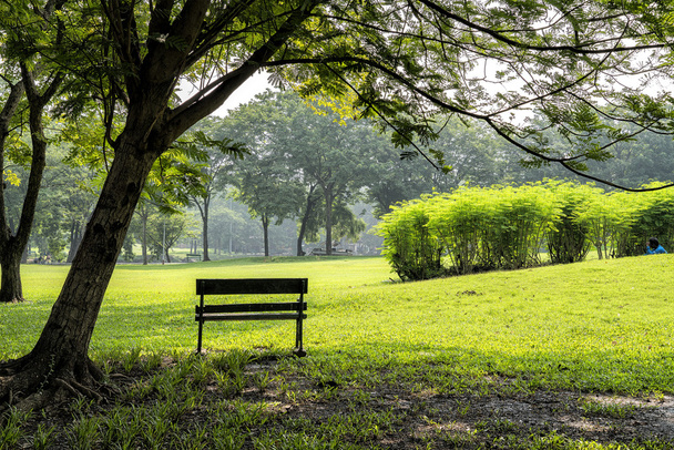 Скамейка возле дерева в общественном парке
 - Фото, изображение