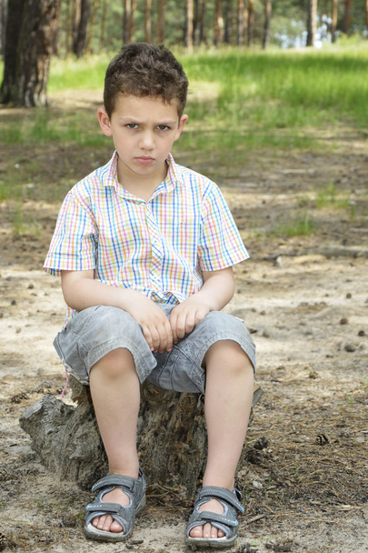 No verão, em uma floresta de pinheiros em um toco de árvore senta-se menino triste
. - Foto, Imagem