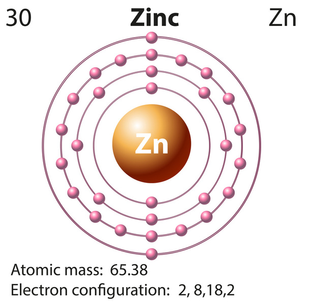 Symbool en elektron diagram voor zink - Vector, afbeelding