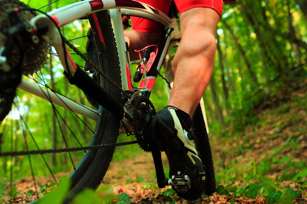 low angle view of cyclist riding mountain bike - Fotoğraf, Görsel