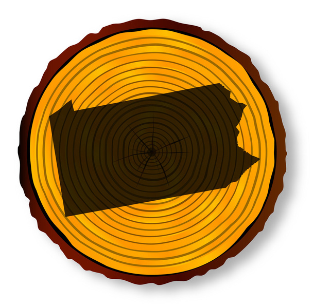 Wimpelkarte auf Holz - Vektor, Bild