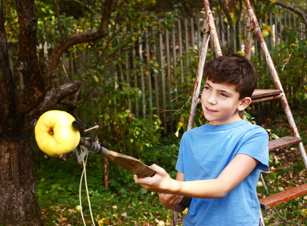 menino arrancar maçãs maduras da árvore com dispositivo especial
 - Foto, Imagem