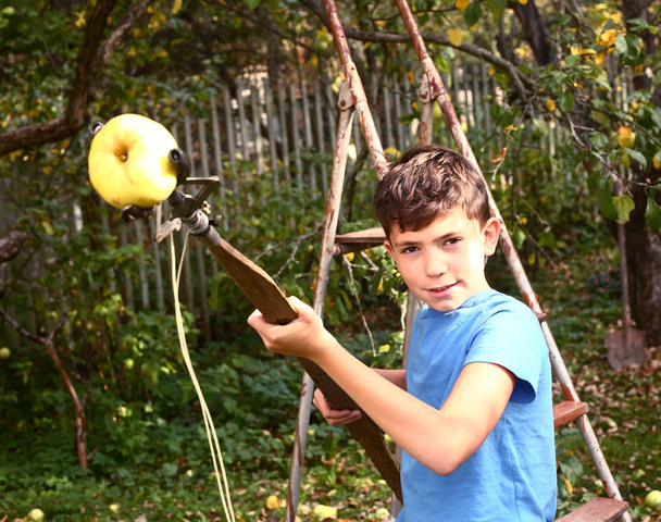 chico arrancar manzanas maduras del árbol con dispositivo especial
 - Foto, Imagen