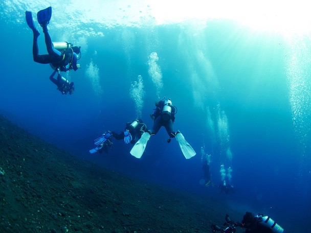 Potápěč s korálem - Fotografie, Obrázek