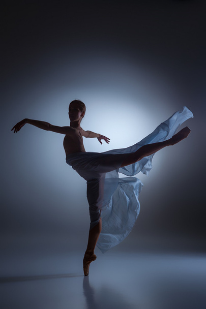 The beautiful ballerina dancing with blue veil - 写真・画像