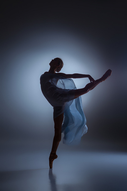 The beautiful ballerina dancing with blue veil - Fotografie, Obrázek
