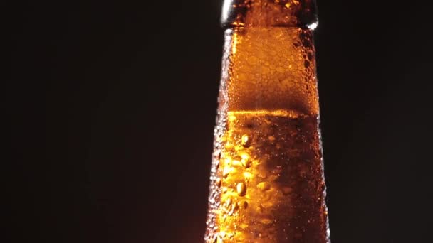 Cold Bottle of Beer on Black Background - Кадри, відео