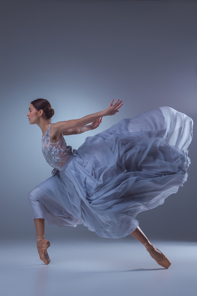 The beautiful ballerina dancing in long lilac dress on lilac background - Foto, imagen