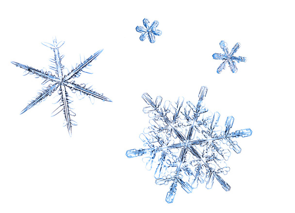 De foto van sneeuwvlokken op een witte achtergrond - Foto, afbeelding