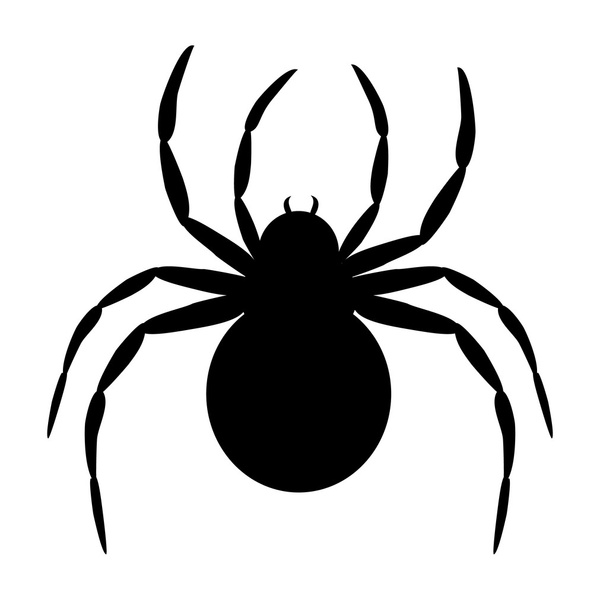 black spider - Vector, imagen