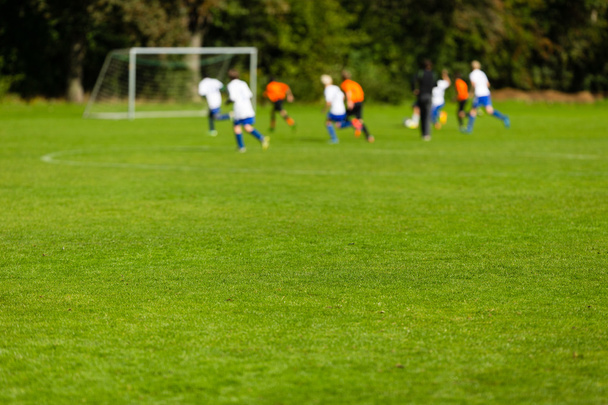 Blurred soccer players on green pitch - Fotó, kép