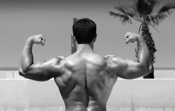 Bodybuilder back - Photo, Image