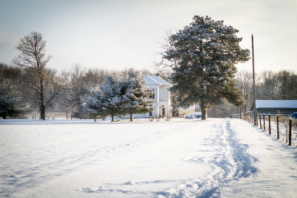 インディアナ州雪 - 写真・画像