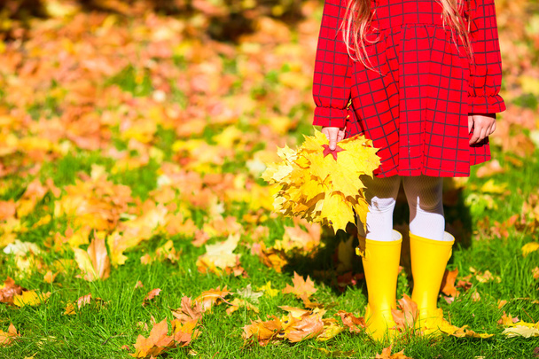 Αξιολάτρευτο κοριτσάκι με κίτρινο σφενδάμνου αφήνει σε εξωτερικούς χώρους στο όμορφο πάρκο φθινόπωρο - Φωτογραφία, εικόνα