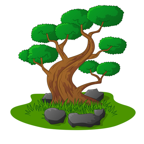 Beautiful bonsai tree isolated - Вектор,изображение