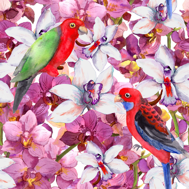 Exotic floral pattern - parrot bird, blooming orchid flowers - Foto, immagini