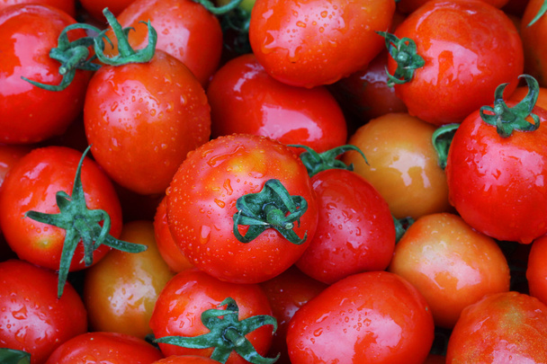 庭で新鮮なとウェットの赤チェリー トマト - 写真・画像