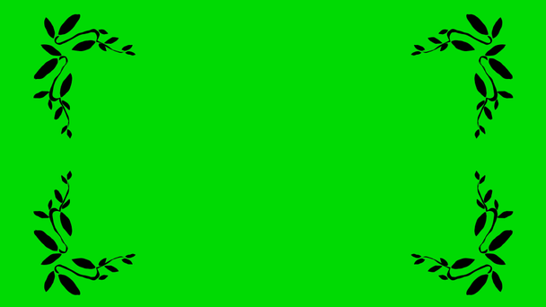 Igazi rajzfilm olíva levél alakú határ sarkok egy zöld képernyő háttér 4k - Felvétel, videó