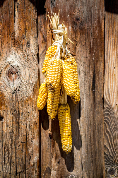 Kukorica az ajtón - Fotó, kép