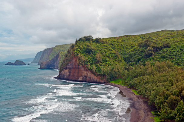 ハワイのビッグアイランドの polulu バレー ビーチ - 写真・画像