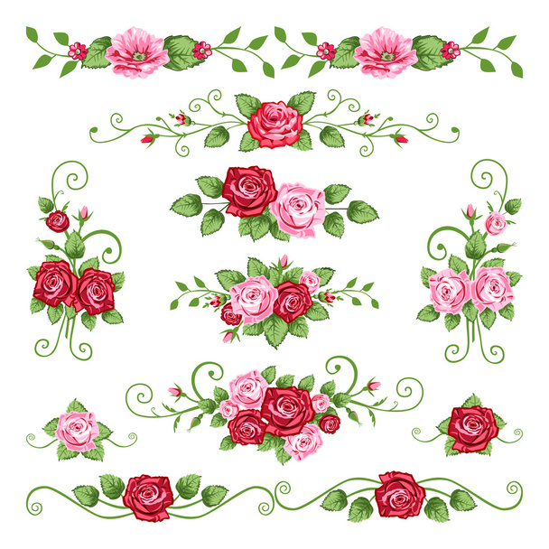 Coleção de rosas
 - Vetor, Imagem