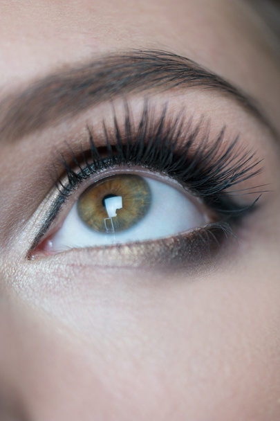 Detail of Woman Wearing Black and Gold Eye Makeup - Фото, зображення