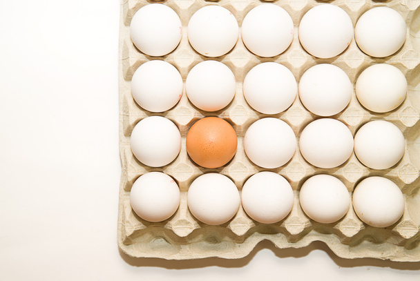 A csomagban értékesítésre felett fehér csirke tojás - Fotó, kép
